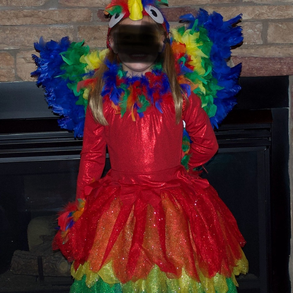 Chasing Fireflies Parrot costume with dress, wings and hat sz 6